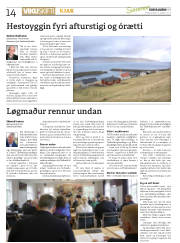Síða 14