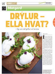 Síða 16