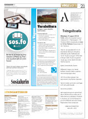 Síða 21