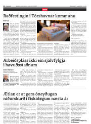 Síða 12