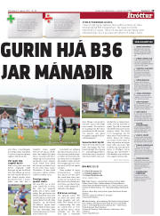 Síða 19