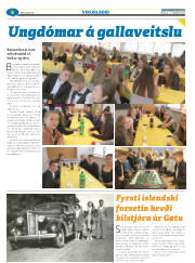 Síða 30