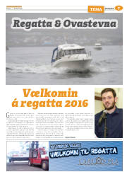 Síða 31