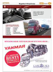 Síða 41