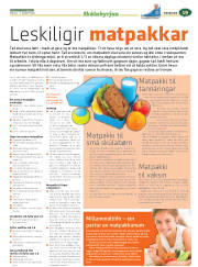 Síða 43