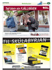 Síða 45