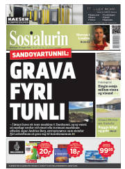 Síða 1