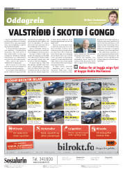 Síða 2