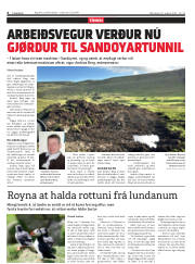 Síða 6