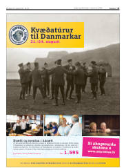 Síða 13
