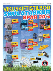 Síða 17