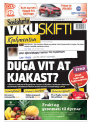 Síða 1