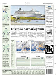 Síða 17
