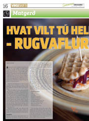 Síða 16