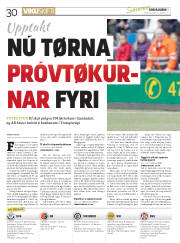 Síða 30