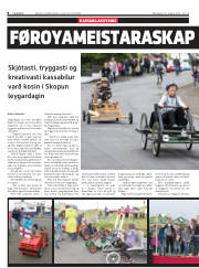 Síða 8