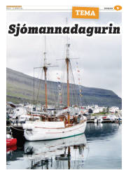 Síða 33