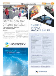 Síða 37