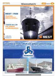 Síða 43