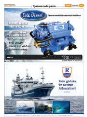Síða 45