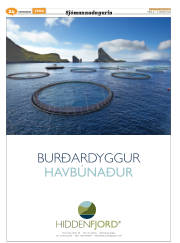 Síða 48