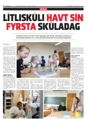 Síða 4