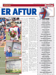 Síða 17