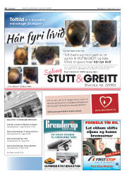 Síða 22