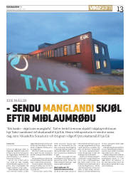 Síða 13