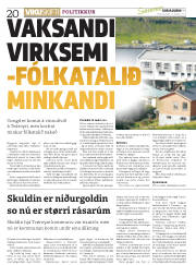 Síða 20