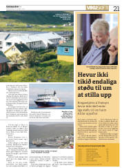 Síða 21