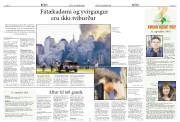 Síða 15