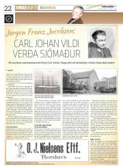 Síða 22