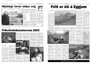 Síða 7