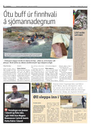 Síða 8