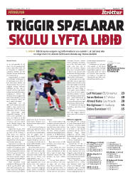 Síða 17