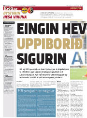 Síða 20