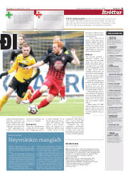 Síða 21