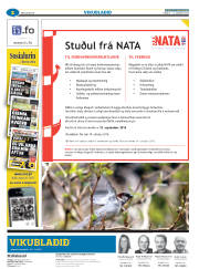 Síða 26