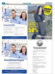 Síða 30