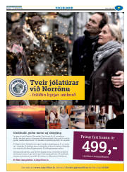 Síða 31