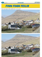 Síða 32
