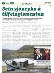 Síða 42