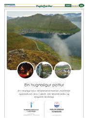 Síða 43