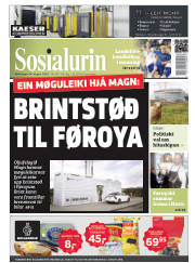 Síða 1