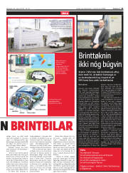 Síða 11