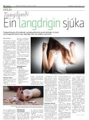 Síða 12