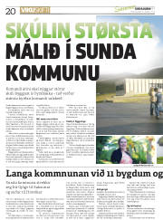 Síða 20