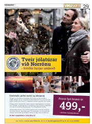 Síða 29