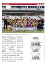 Síða 17